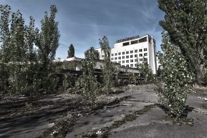 Bäume brechen den Asphaltboden auf.
